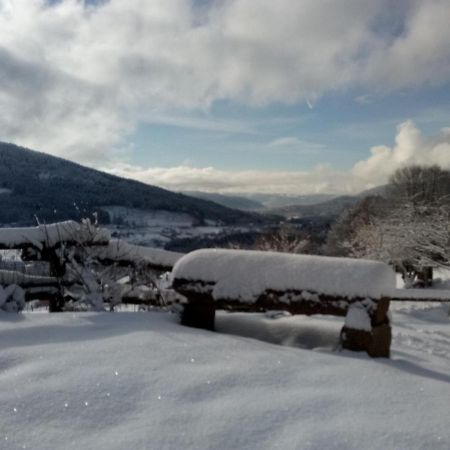 La Maison Jaune Cleurie Esterno foto