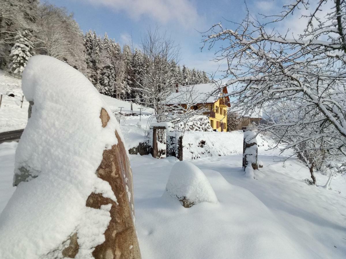 La Maison Jaune Cleurie Esterno foto